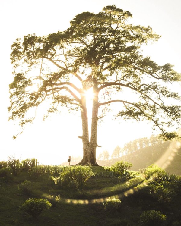 les entraîneurs qui ont marqué le football français